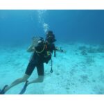 Rakul Preet Singh Instagram – Sink beneath the surface to be truly free ❤️ experiencing the underwater world is pure bliss ! Makes me wonder how beautiful 3/4th of the planet is and how little we know about it ❤️❤️ LUX* South Ari Atoll