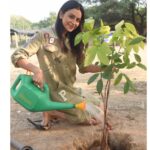 Rakul Preet Singh Instagram - Late but finally accepted #HaraHaiTohBharaHai #GreenindiaChallenge Thank you @chayakkineni for nominating me .so I have Planted 3 saplings. Further I want to nominate not actors but all my fans to plant 3 trees each and tag me to continue the chain. It’s our responsibility to keep the planet green special thanks to @mpsantoshtrs for taking this initiative