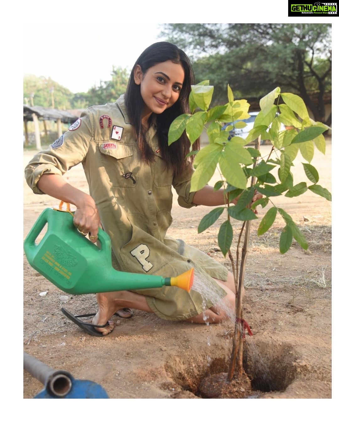 Rakul Preet Singh Instagram - Late but finally accepted #HaraHaiTohBharaHai #GreenindiaChallenge Thank you @chayakkineni for nominating me .so I have Planted 3 saplings. Further I want to nominate not actors but all my fans to plant 3 trees each and tag me to continue the chain. It’s our responsibility to keep the planet green special thanks to @mpsantoshtrs for taking this initiative