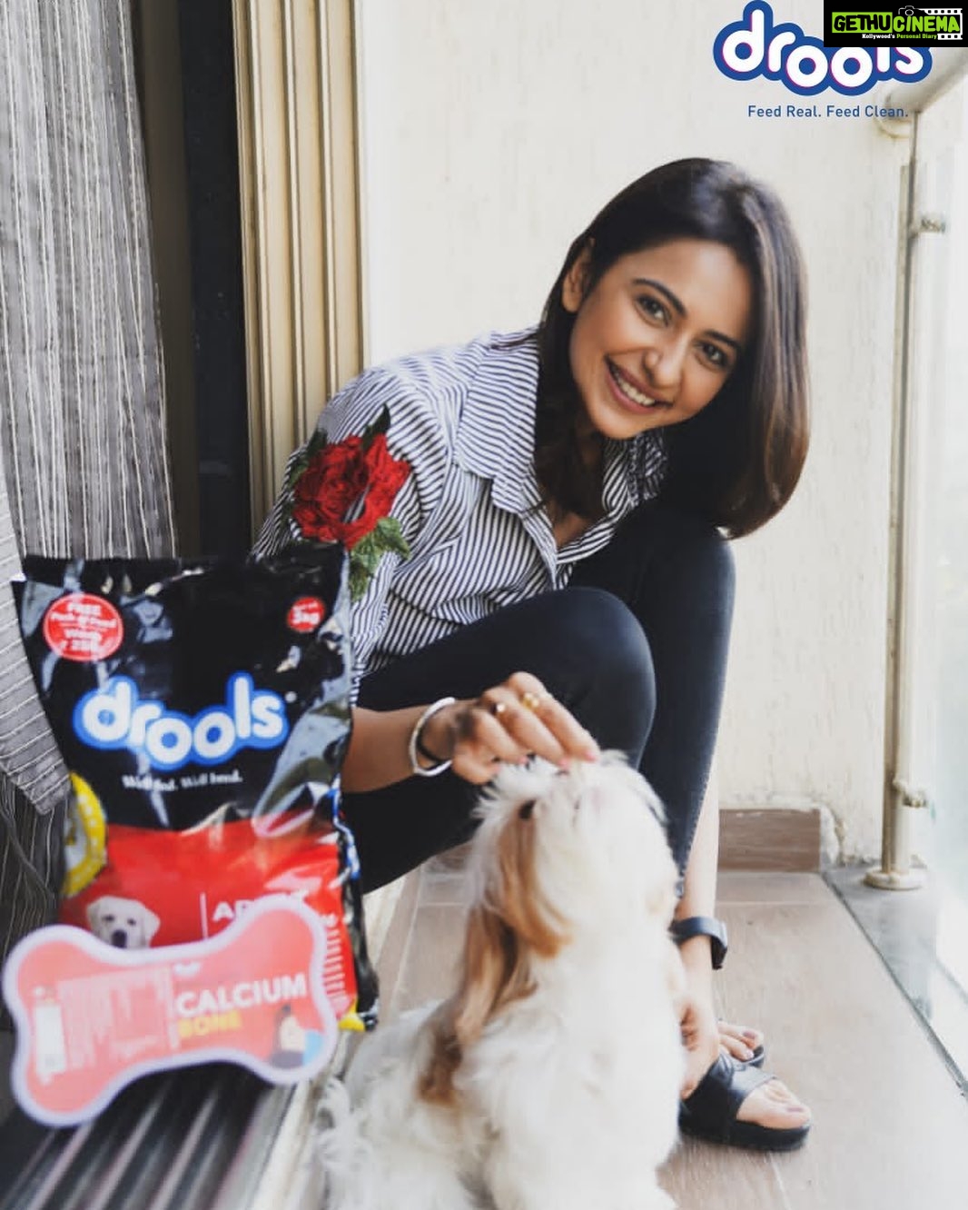 Rakul Preet Singh Instagram - @DroolsIndia Just like we make decisions in our home to eat healthy and stay healthy , I am making the same stride for Candy too. The secret to Candy’s healthy coat and lustrous hair is real and nutritious food made with love by @droolsindia and only Real Chicken and no by-products. Most trusted dog food that you’ll be proud to feed your dog. #FeedRealFeedClean Don’t believe me…. Just check the back of the pack for ingredients. . . #Drools #DroolsIndia #FeedRealFeedClean #PetParents #PetLovers #DogFood #FoodForDogs #DogNutrition #RealChicken #HealthyDogFood #Dog #Food #PetCare #Pets #WhatsGoodForYourDog #HappyDog #DogLife #FurryFriends #PetLife #instagood #petsofinstagram