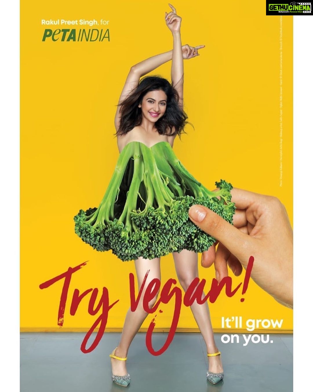 Rakul Preet Singh Instagram - This #WorldEnvironmentDay join @PetaIndia and me in saving animals and the planet by eating vegan. 🥬 📷 @shivangi.kulkarni 👗 @nidhijeswani 💇 @ashisbogi 💄 @im__sal PR: @chadhameghna Team PETA India: @sachinsbangera @rain.and.unicorn.13 👠 @papadontpreachbyshubhika