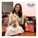 Rakul Preet Singh Instagram - @DroolsIndia I dedicate this Holi to Candy, the one who has filled my life with pure love and lots of colourful moments. Feel the joy by giving a forever home to a four-legged soul in collaboration with @droolsindia. #HaveAPoochkariHoli #Drools #FeedRealFeedClean #DogFood #FoodForDogs #DogNutrition #cute #happy #instagood #beautiful #happyholi #instagood #RealChicken #healthydogfood #DogofInstagram #Dog #PetCare #Pets #PetsOfInstagram #WhatsGoodForYourDog  #HappyDog  #DogLife #furryfriends