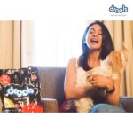 Rakul Preet Singh Instagram - @droolsindia When Candy gobbles up her meal, I know it’s #LoveAtFirstBowl! ❤🐶 She, loves nutritious, tasty food from @droolsindia with 100% real chicken & no by products. She actually  pawints at it when she wants it. Make sure to give your #Pawlentines the best pet food which is made of Real Chicken and No By-products. Share  stories of how your furries fall in #LoveAtFirstBowl everyday with @droolsIndia and tag & follow  @DroolsIndia to win a beautiful gift hamper. #Drools #FeedRealFeedClean #loveAtFirstBowl #FurryValentine #DogFood #FoodForDogs #DogNutrition #RealChicken #healthydogfood #Dog #PetCare #Pets #festivals #WhatsGoodForYourDog #HappyDog #DogLife #FurryFriends #happyValentinesDay #petwelfare #petfriendly #contest