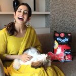 Rakul Preet Singh Instagram - @droolsindia Festivals are happier when your pets enjoy it too! But during Diwali the noise of firecrackers terrifies Candy and makes her uncomfortable. I always make sure that Candy has her earmuffs on as it reduces the effect of the loud sound. This Diwali, #itsapromise to stop bursting crackers. I will do my bit to make this festive season bearable for her; will you do the same for your pets and other Furries? Make a promise with us and show that you care! Spread the message and do your bit. Share it on your story and tag @droolsindia or you can repost it! Use the hashtag #itsapromise Drools is doing their bit by working with pet welfare associations. Check out @droolsindia to find out more! #Drools #FeedRealFeedClean #itsapromise #DogFood #FoodForDogs #DogNutrition #RealChicken #healthydogfood #Dog #PetCare #Pets #festivals #WhatsGoodForYourDog #HappyDog #DogLife #FurryFriends #Diwali #happydiwali #petwelfare #petfriendly #cats