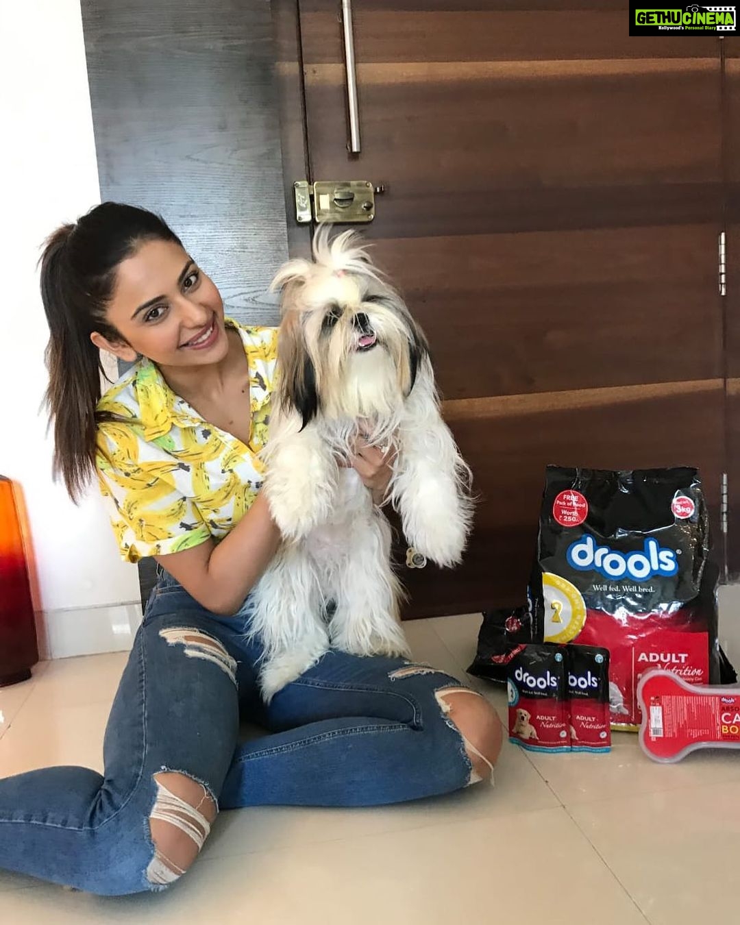 Rakul Preet Singh Instagram - @DroolsIndia Candy cannot resist the real taste of Drools. And I believe in @DroolsIndia as it has Real chicken and no by products and I request you all to check the back of the pack for ingredients to confirm there are no by products in your pets food. Feed Real. Feed Clean. #Drools #FeedRealFeedClean #DogFood #FoodForDogs #DogNutrition #cute #happy #instagood #beautiful #tbt #fashion #me #photooftheday #instagood #RealChicken #healthydogfood #DogofInstagram #Dog #PetCare #Pets #PetsOfInstagram #food #Health #WhatsGoodForYourDog #HappyDog #DogLife #FurryFriends #RealNutrition