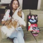 Rakul Preet Singh Instagram - @DroolsIndia fills my Candy with energy and she, in turn, keeps me on my toes with all the running around. This way, we are a happy and fit family! #Drools #FeedRealFeedClean #DogFood #FoodForDogs #DogNutrition #cute #happy #instagood #beautiful #tbt #fashion #me #photooftheday #instagood #RealChicken #healthydogfood #DogofInstagram #Dog #PetCare #Pets #PetsOfInstagram #food #Health #WhatsGoodForYourDog #HappyDog #DogLife #FurryFriends #RealNutrition