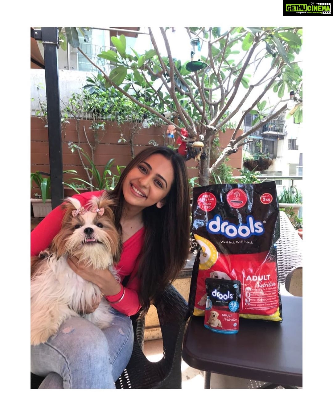 Rakul Preet Singh Instagram - @droolsindia I keep my Candy healthy by giving her 100% real nutrition with Drools. This way she’s always in a good mood and we get to have a lot of fun together. #Drools #FeedRealFeedClean #DogFood #FoodForDogs #DogNutrition #cute #happy #instagood #beautiful #tbt #NutritiousFood #fashion #me #photooftheday #instagood #RealChicken #HealthyDog #healthydogfood #DogofInstagram #Dog #PetCare #Pets #PetsOfInstagram #food #DogNutrition #HappyDog #HappyPet #PetsOfIndia #FurryFriends #RealNutrition
