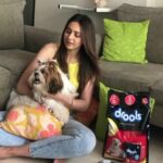 Rakul Preet Singh Instagram - @DroolsIndia Oops, now the beauty secret of Candy is out 😍😍😍.Thank you @droolsIndia for making my candy a fashion diva. Candy and vouch for Drools with the goodness of real chicken . Feed Real Feed clean. #Drools #FeedRealFeedClean #DogFood #DogFood #FoodForDogs #DogNutrition #cute #happy #instagood #beautiful #tbt #NutritiousFood #fashion #me #photooftheday #instagood #RealChicken #HealthyDog #healthydogfood #DogofInstagram #Dog #DogMeal #PetCare #Pets #PetsOfInstagram #food #Health #DogCare #WhatsGoodForYourDog #DogNutrition #HappyDog #HappyPet