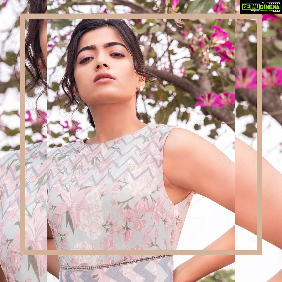Rashmika Mandanna Instagram - 🌼