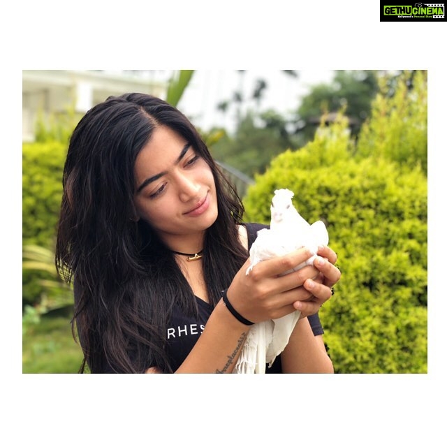 Rashmika Mandanna Instagram - Just a home thing..! 💞🌸 Virajpet, India