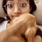 Rashmika Mandanna Instagram - Chewing my hooman’s hair so much more exciting than chewing on chew sticks.. Yaaay! 🐶🤍😑 #Aura