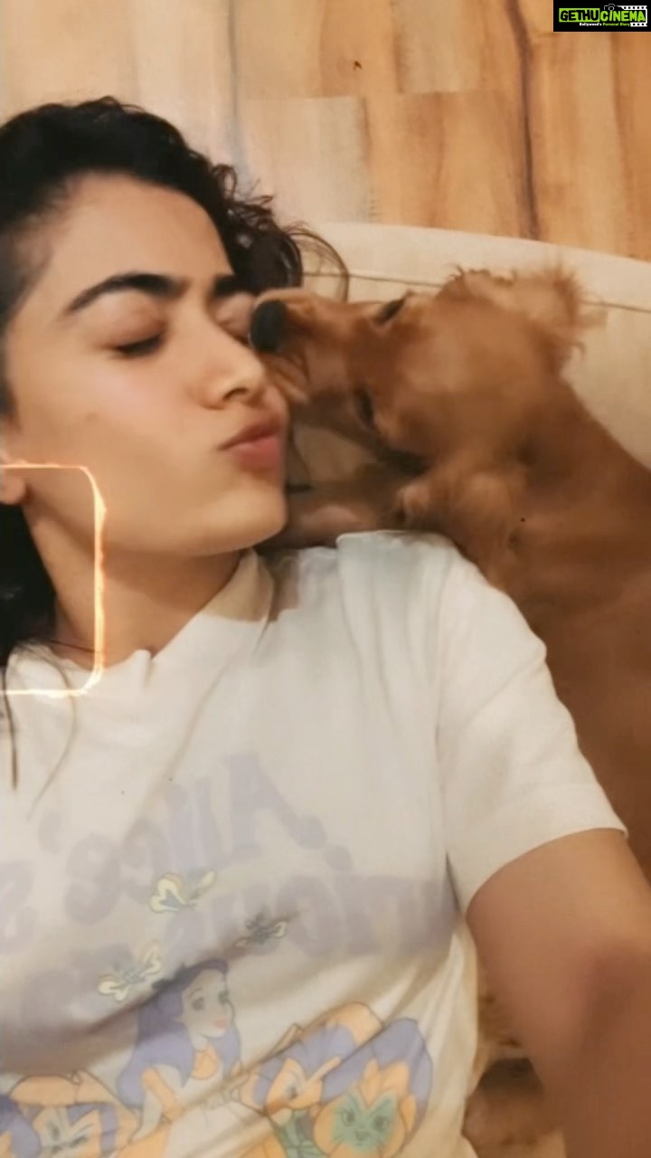 Rashmika Mandanna Instagram - When you love your lil furry friend more than yourself.. ✨ She makes me happy! 🤍