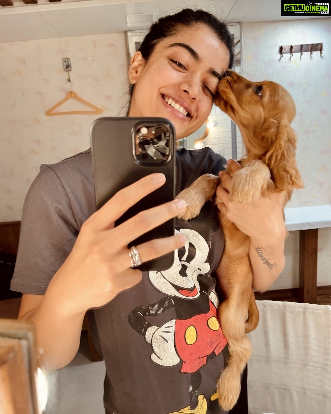 Rashmika Mandanna Instagram - Just a little of Aura and me on your feed! 🌸✨❤️