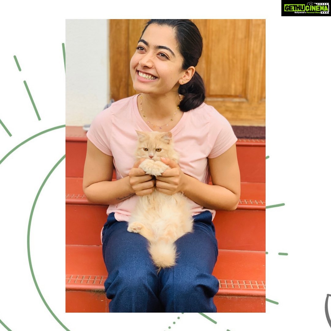 Rashmika Mandanna Instagram - As every cat owner knows, nobody owns a cat .. - Ellen Perry Berkeley ✨