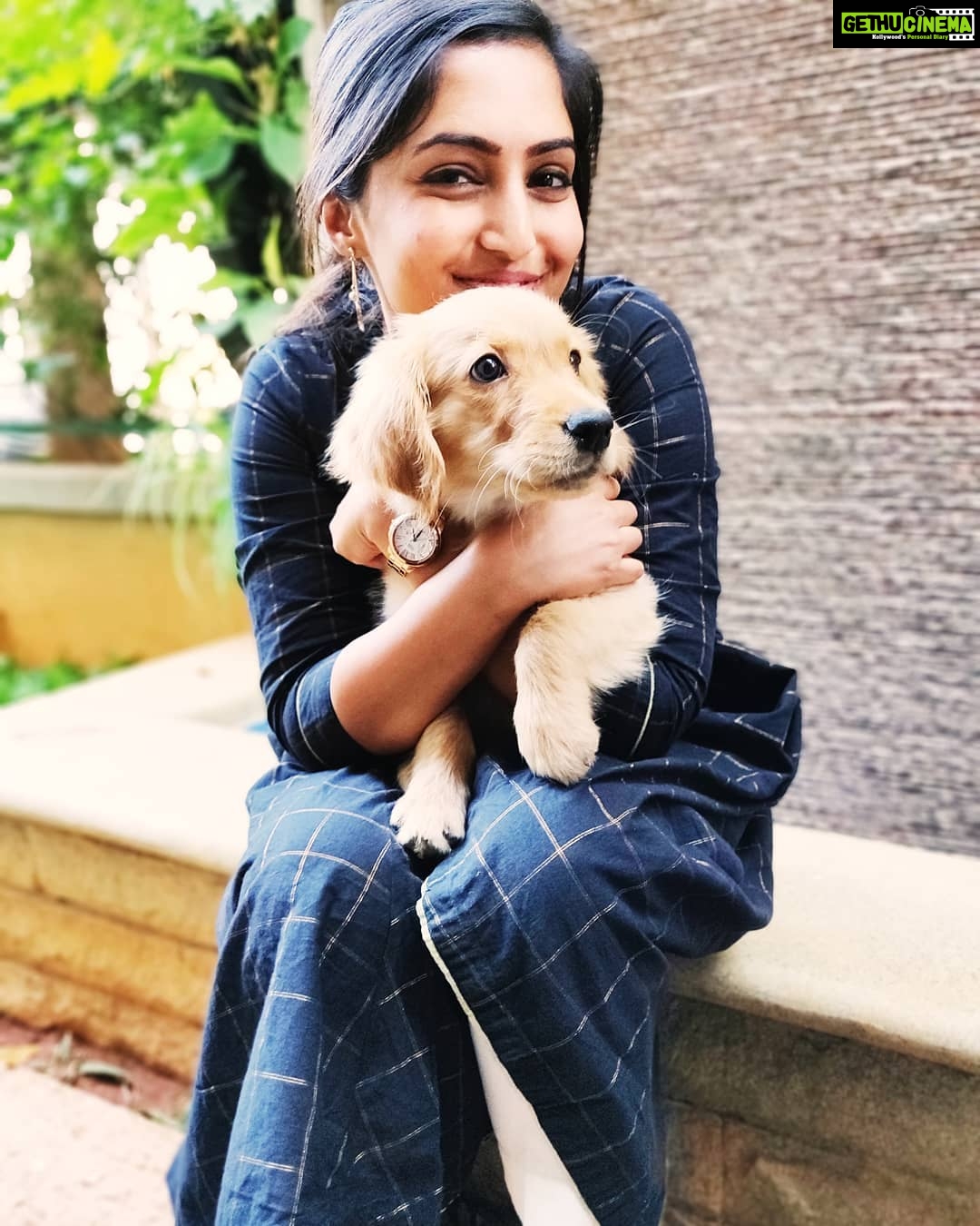 Reba Monica John Instagram - Bruno baby says " Hello world " ✨🥰 . . . #dogsofinstagram #goldenretriever #puppy #babyofthefamily