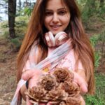 Rubina Dilaik Instagram - I can trade my big brands for these jungle jewels ....... . . . . . #rubinadilaik #jungle #trekking #himalayas #himachal #beauty #fern #trees #greens #cedar #forest #bosslady #shimla #pine #jewels