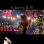 Rubina Dilaik Instagram – Can’t stop dancing, can’t stop loving …….. your  #bosslady is Happy high on your love 💕……. thank you all……. 🙏🏼