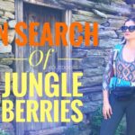 Rubina Dilaik Instagram - Jungle berries are real treasures of Himalayas..... checkout my YouTube channel now (link in bio)