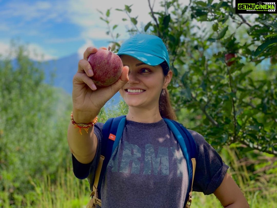 Rubina Dilaik Instagram - Handpicked apples after 18years........