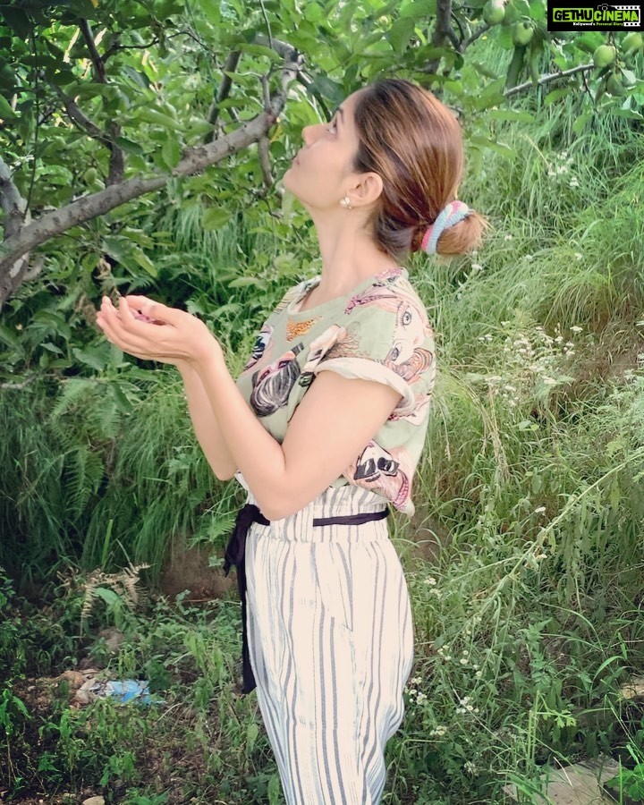 Rubina Dilaik Instagram - Handpicking plums 💓☺️