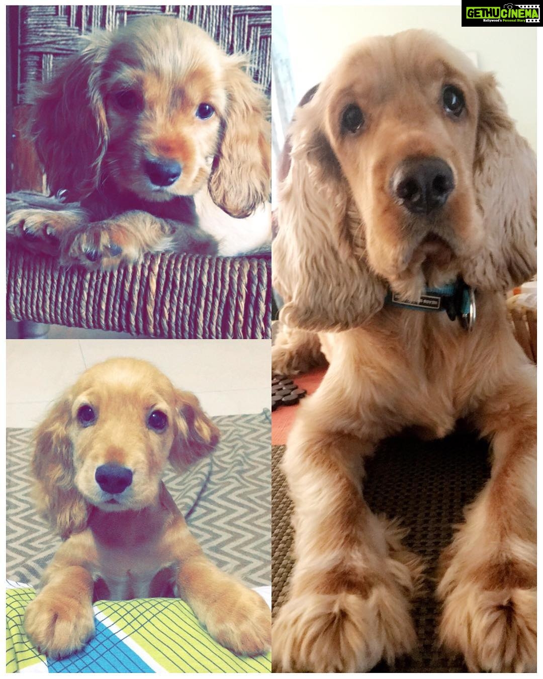 Rukshar Dhillon Instagram - My Champ Star😍😍Look at you all grown up from the chotu into a handsome boy! As you turn a year older I want you to know each day with you is a day to be celebrated. You’ve only made the hardest days bearable and the happiest days even happier. Though you most of the time drive all of us crazy, the joy you give us outweighs all of it! Your the best thing that ever happened to us Champoo🤗🤗 Happy Birthday buddy. Love you the most most most😘😘❤️❤️ #champstar#bdayboy #turns3