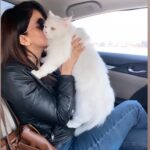 Saba Qamar Zaman Instagram – Love of my life ❤️
Peace 🐈 Lahore, Pakistan