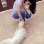 Saba Qamar Zaman Instagram - Pets have more love and compassion in them than most humans. ❤️ #loveofmylife #peace 🐈 #dinoo 🐶 #homesweethome Lahore, Pakistan