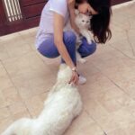 Saba Qamar Zaman Instagram – Pets have more love and compassion in them than most humans. ❤️
#loveofmylife #peace 🐈 #dinoo 🐶 
#homesweethome Lahore, Pakistan