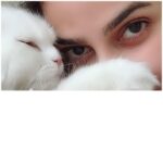 Saba Qamar Zaman Instagram - Unconditional love ❤️ #peace 🐈 Lahore, Pakistan