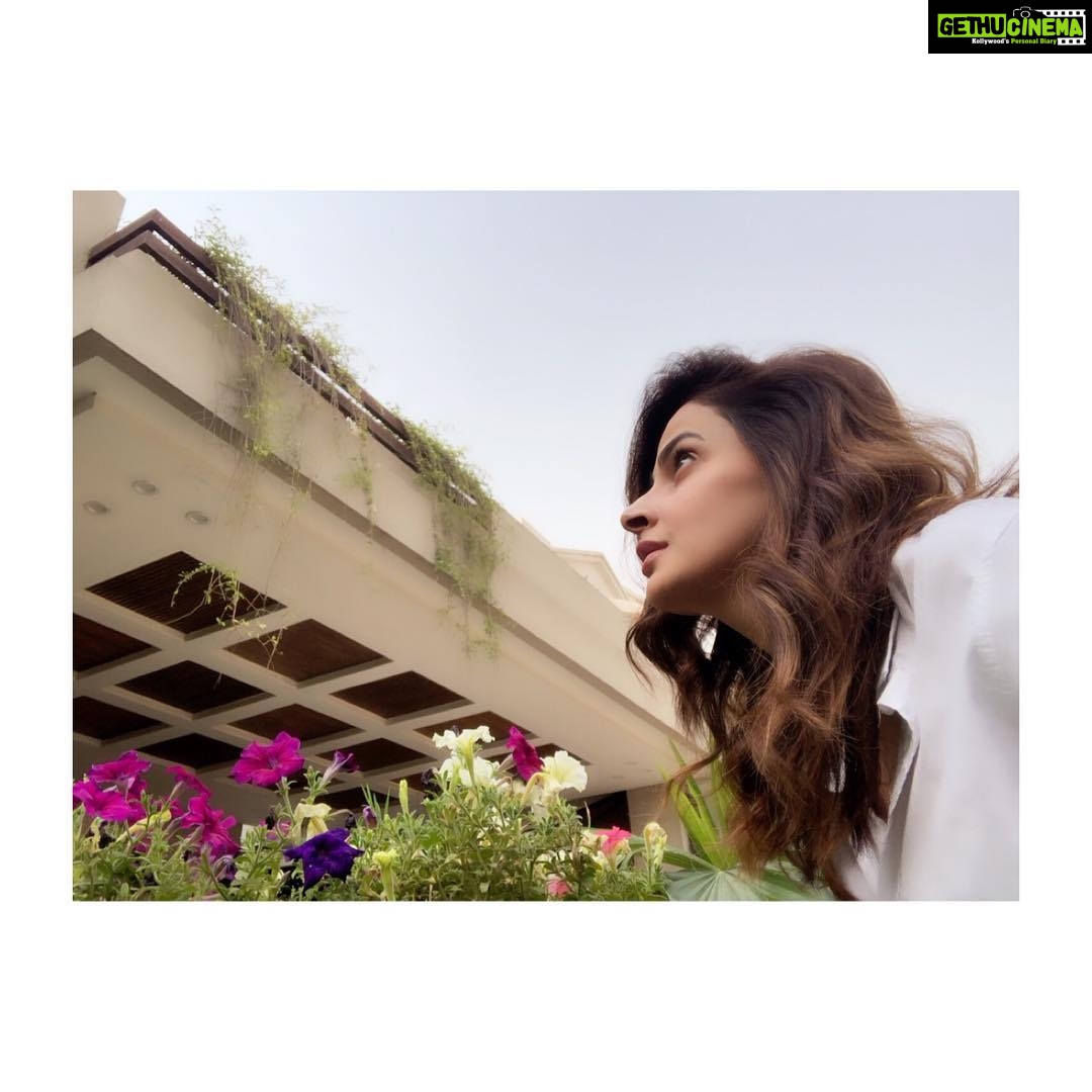 Saba Qamar Zaman Instagram - Use plants to bring life. #sabaqamar #plantslover #homesweethome #lahore #hotweather☀️ Lahore, Pakistan