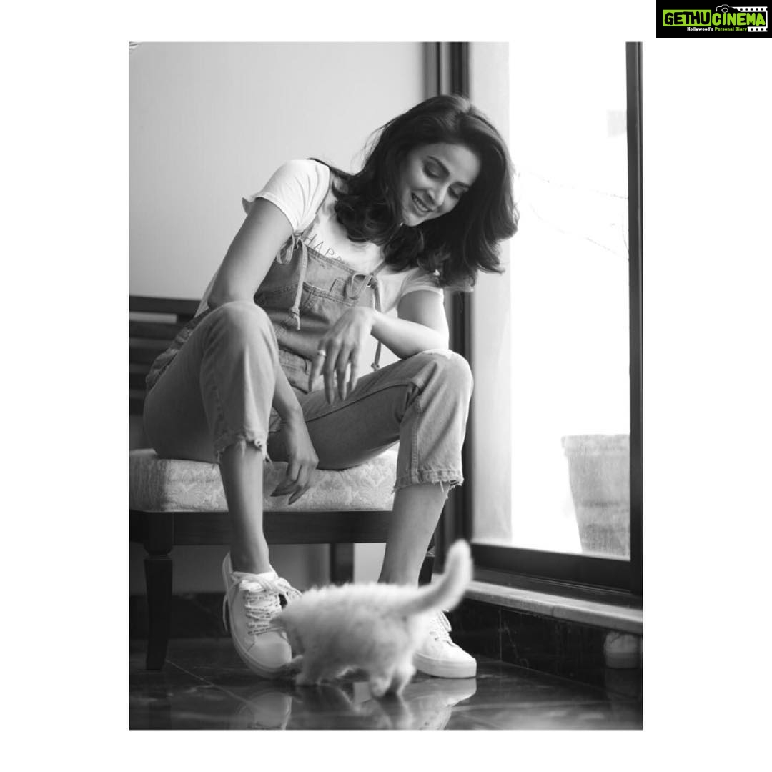 Saba Qamar Zaman Instagram - There are so many reasons to smile:) 🐈 📷 @haseebsiddiquiphoto 💄 @razeenofficialmua #sabaqamar #peace #homesweethome #sundayvibes Lahore, Pakistan