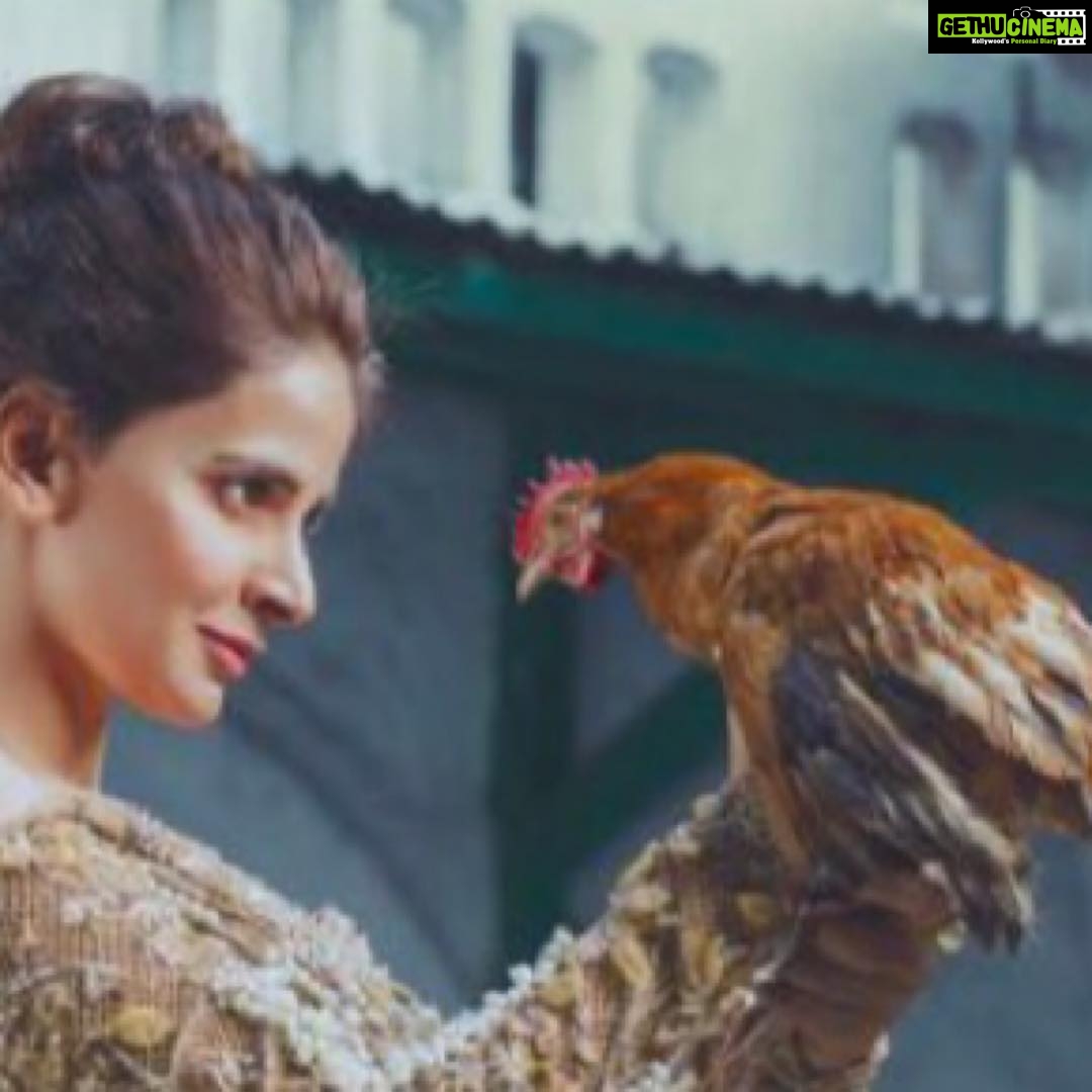 Saba Qamar Zaman Instagram - HELLO‼️✨ Wardrobe: @LajwantiOfficial Actor: @SabaQamarZaman Shot by @AbdullahHarisFilms Hair & Makeup: @FatimaNasirMUA Jewellery: @shafaqhabibjewellery Styling @AnaumH & @AbdullahHarisFilms Coordination: MINT PR @mintcommpk #marchissue #sabaqamar #lajwanti #abdullahharis #mintpr #pakistaniactors #womensissue #pakistanicelebs #Pakistan #pakistanifashion #pakistanidesigners #instacool #instadaily #lahore #karachi #islamabad #hellopakistan #hellomagazine @hellopakistan #covershoot