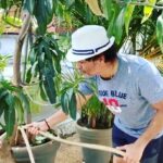 Sachin Tendulkar Instagram - Me with my plants 🌱... a special connection I treasure. All of us can do with more green around us.