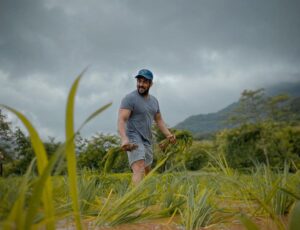 Salman Khan Instagram - Daane daane pe likha hota hai khane wale Ka naam... jai jawan ! jai kissan !