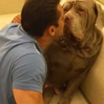 Salman Khan Instagram - Kisses my love.....