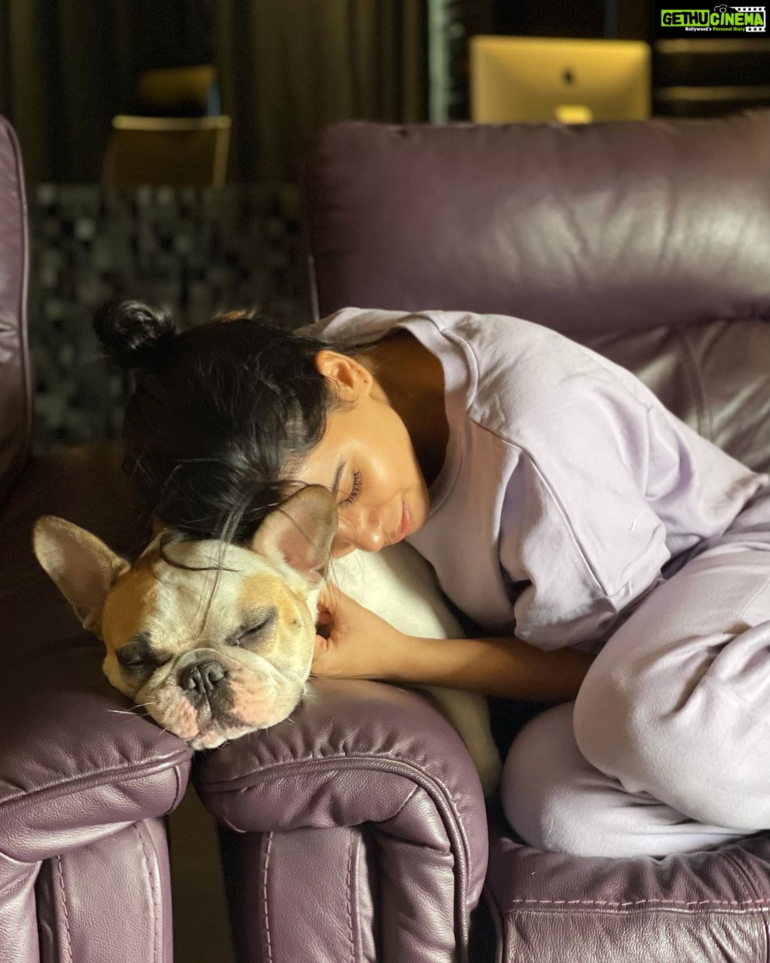 Samantha Instagram - Sunday Rest day Snuggle day Happy day 📸 @chayakkineni