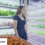 Samantha Instagram – Thankyou for my special vegan options guys @urbankisaan 💚
Posted @withregram • @urbankisaan Introducing FarmBowl by UrbanKisaan – Healthy, nutritious and wholesome deliciousness, made from UrbanKisaan’s freshest veggies. Eating clean is now eating yummy too! Walk in to your nearest UrbanKisaan farm, or order on urbankisaan.com and get yours today.