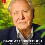 Samantha Instagram - I request all of you to please watch 'A life on our planet’ .. Do not ignore this . For the generations that follow ... for your future .. for your children’s future 🙏 @davidattenborough