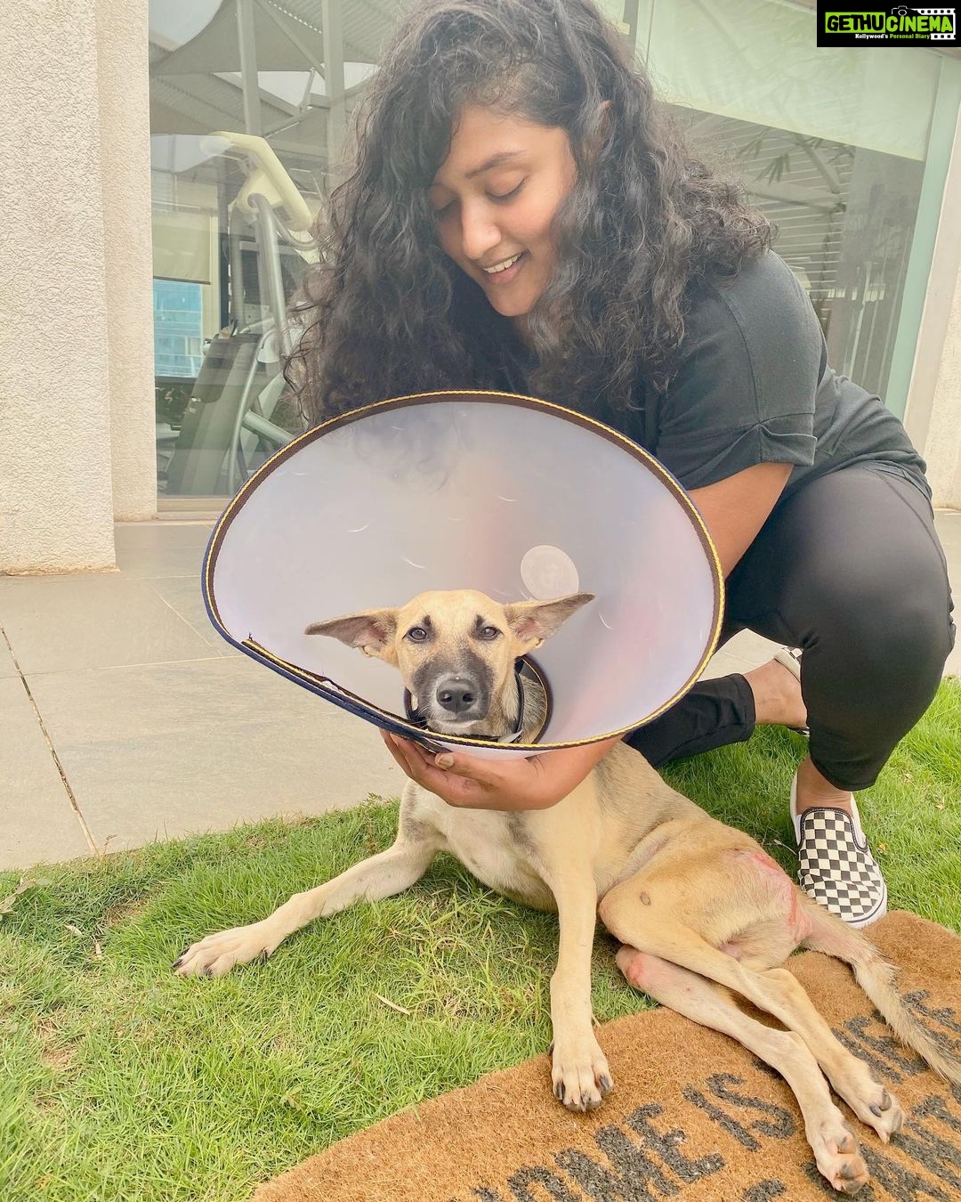 Samantha Instagram - SUNDAY APPRECIATION POST This one’s for you @teachprihowtoduggi 👏👏👏.. where most of us usually stop at 'poor thing’ when we see a dog lying injured on the road , she brought this pup home . He is paralysed hip down and needs constant attention. She has taken him for 10 therapy sessions in the last 2 weeks, cleaned his bed sores,comforted him and is getting him the best help he needs . My Hero❤️... Instead of looking to pull down let’s build up . There are so many good things that people do around us if only we choose to focus on that .