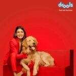 Samantha Instagram – Feed Local, Be Vocal
@Droolsindia  When you are looking for nutritious food for your pet, pick India’s most trusted pet food brand @droolsindia 
I urge all pet parents to do their bit at this time of uncertainty. 
Feed Real.Feed Clean.
.
.
.
#DroolsIndia #VocalForLocal #VocalForLocalIndia #FeedRealFeedClean #PetFood #MadeInIndiaSince2009 #ShopLocally  #LocalToGoGlobal  #PetParents #Pawrenting #petfoodindia