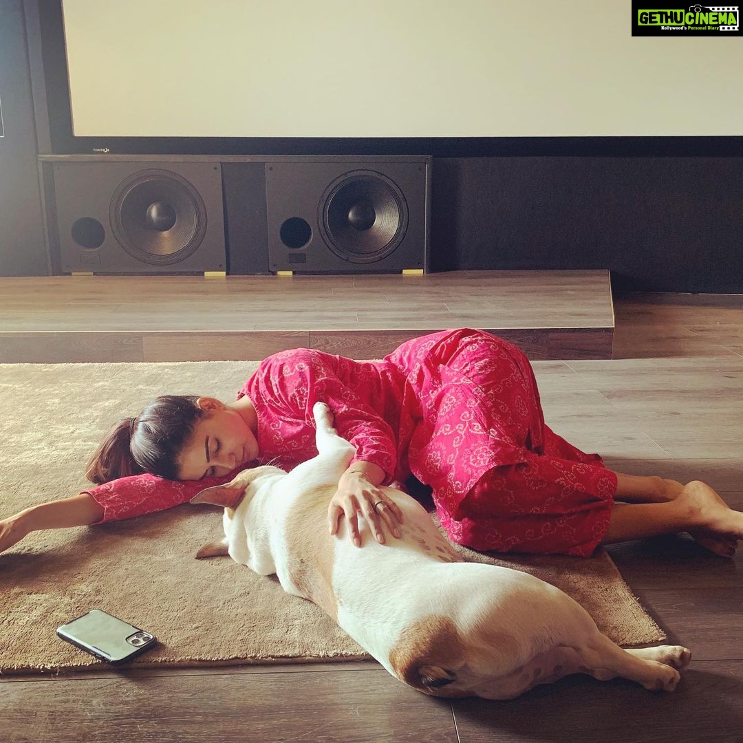 Samantha Instagram - Happy mama’s day Tamtu 🐾 I am so glad I adopted you #mypooperscooper #treatbestower #favouritechild🐶 #chroniclesofbeingcute