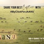 Samantha Instagram – Introduce us to your beautiful world through your best capture! Share a photo clicked by you with the hashtag #MyClickForJaanu #Jaanu and win a chance to photograph Ram and Jaanu ❤️ (Sharwa and I).. looking forward to meeting you soon 🥰 #jaanuteaseroutnow #linkinbio