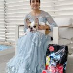 Samantha Instagram – @droolsIndia.
Diwali is a festival of lights, not of noise!
This Diwali, #itsapromise to stop bursting all the loud  firecrackers to make this festive season better for all our furry friends 🐶🐱!
Drools is doing their bit this Diwali, visit @droolsindia to know more! 
#Drools #FeedRealFeedClean #itsapromise #DogFood #FoodForDogs #DogNutrition #cute #happy #instagood #beautiful #tbt  #fashion #me #photooftheday #instagood #RealChicken #healthydogfood #DogofInstagram #Dog #PetCare #Pets #PetsOfInstagram #food #WhatsGoodForYourDog  #HappyDog  #DogLife #FurryFriends #Diwali #ad