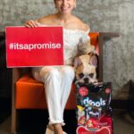 Samantha Instagram - @droolsindia Let’s make this Diwali joyful for our animals 🐶🐱. During this time, we often forget the discomfort faced by our pets and strays . The careless use of firecrackers and its noise can be unpleasant and stressful for them. This festive season, #itsapromise to gift a safe Diwali to all our pawed friends around. Drools is doing their bit this Diwali, visit @droolsindia to know more! #Drools #FeedRealFeedClean #itsapromise #DogFood #FoodForDogs #DogNutrition #cute #happy #instagood #beautiful #tbt #fashion #me #photooftheday #instagood #RealChicken #healthydogfood #DogofInstagram #Dog #PetCare #Pets #PetsOfInstagram #food #WhatsGoodForYourDog #HappyDog #DogLife #FurryFriends #diwali #ad