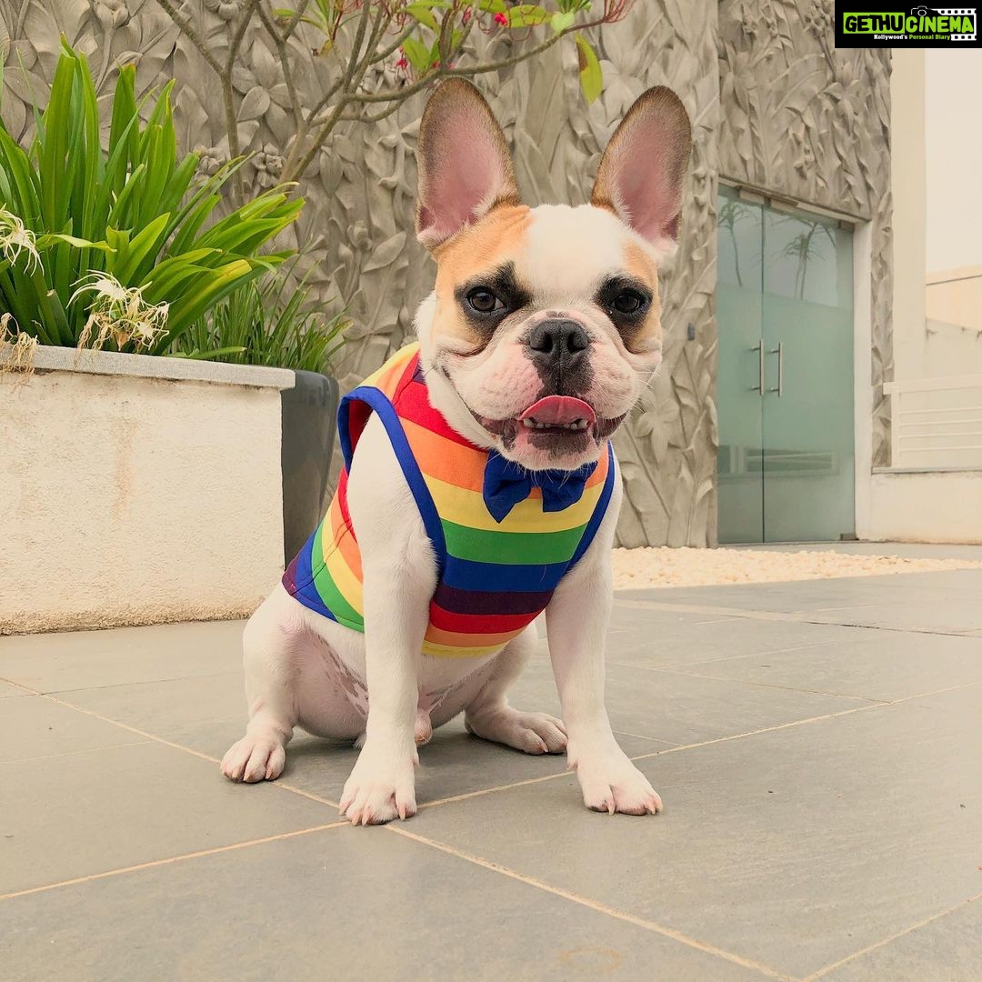 Samantha Instagram - There’s nothing wrong with you . There’s a lot wrong with the world you live in ... Love is love #loveislove 🌈 #pride #chroniclesofbeingcute