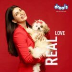 Samantha Instagram - @Droolsindia thinking about the right kind of feed for your pet? Look no further. @Droolsindia has something for everyone. With only the highest quality real ingredients and no by-products, the veterinary nutritionists at Drools have spent years perfecting their recipes to ensure only the most wholesome, real and droolworthy nutrition for our pets! 🐶🐱 Drools. Feed Real. Feed Clean. . . . . . . . #Drools #DroolsIndia #Samantha #SamanthaLovesDrools #BundleOfJoy #PuppyAtHome #AdoptPet #BringHomeFurryBaby #PetFood #FeedHealthy #FeedDrools #PetParent #PetBond #PetNutrition  #HealthyPetFood #PetCare #PetFood #WhatsGoodForYourPet #FurryFriends #petfriendly