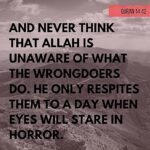 Sarah Khan Instagram -