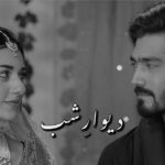 Sarah Khan Instagram - @shahzadsheikh37 #deewareshab