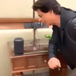 Shah Rukh Khan Instagram - #BauuaSingh and Alexa ki prem kahani. Poor Aafia seems a bit miffed!! Thank u Amazon for this mad love from Alexa...obviously!!! #BauuaOnAlexa