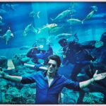 Shah Rukh Khan Instagram - It was just the fish & me...till these photo bombers floated in!!